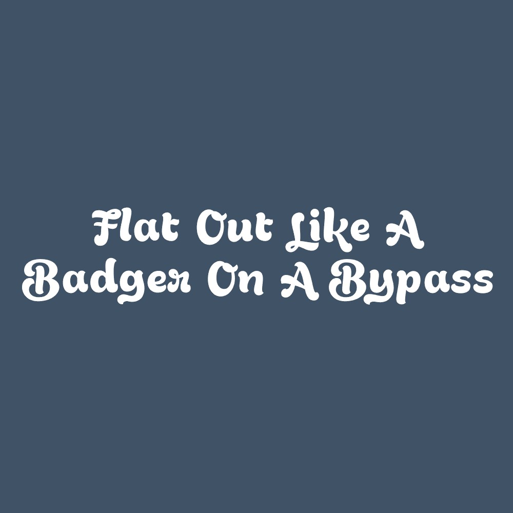 #A91-FLAT-OUT Badger On A Bypass - Image 1